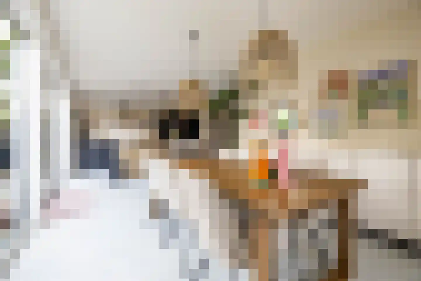 Hogeweg 12 Zuidlaren thumbnail 43