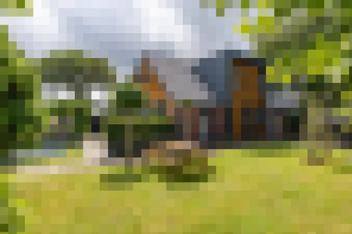 Hogeweg 12 Zuidlaren thumbnail 5