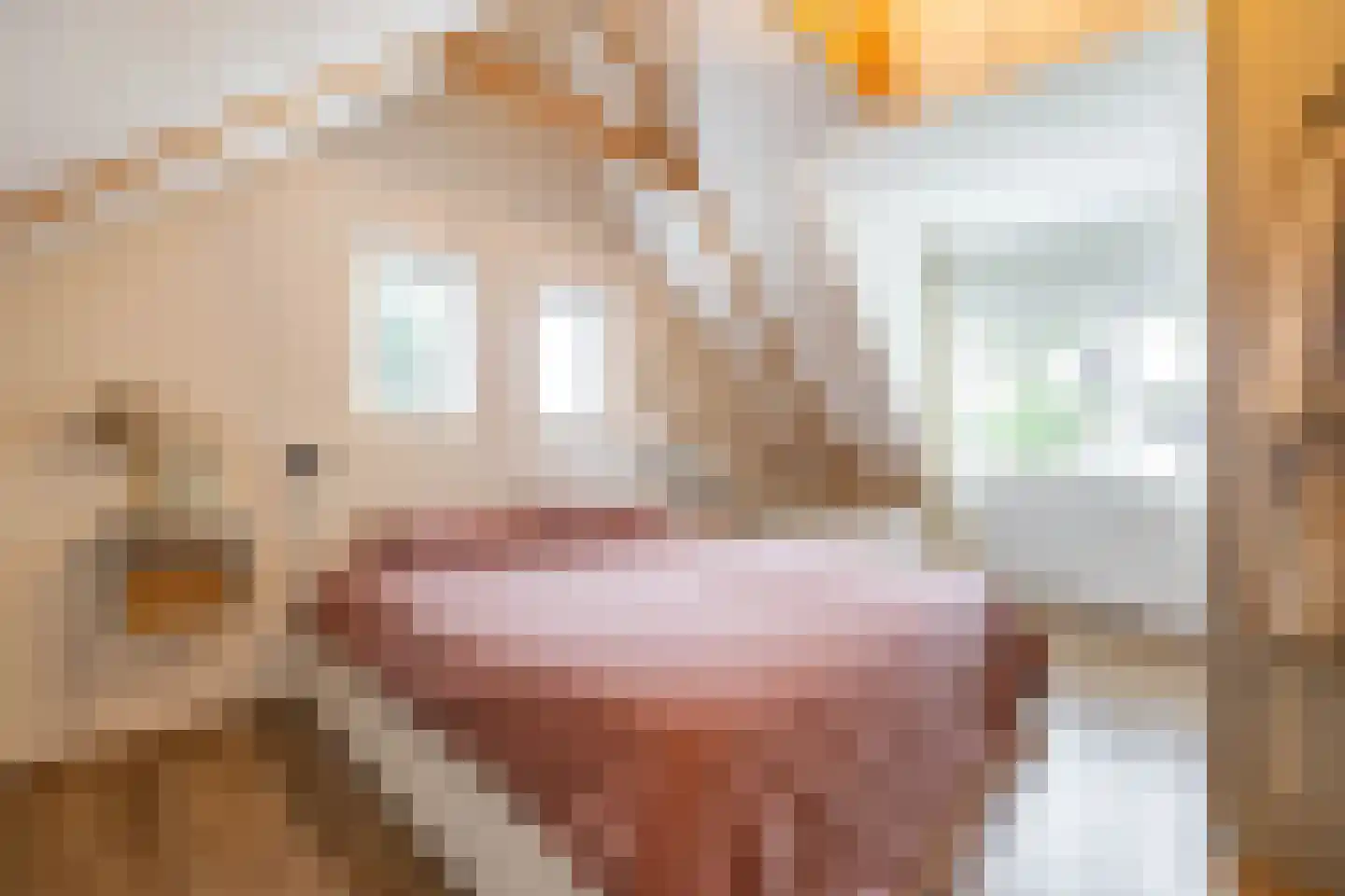Hogeweg 12 Zuidlaren thumbnail 59