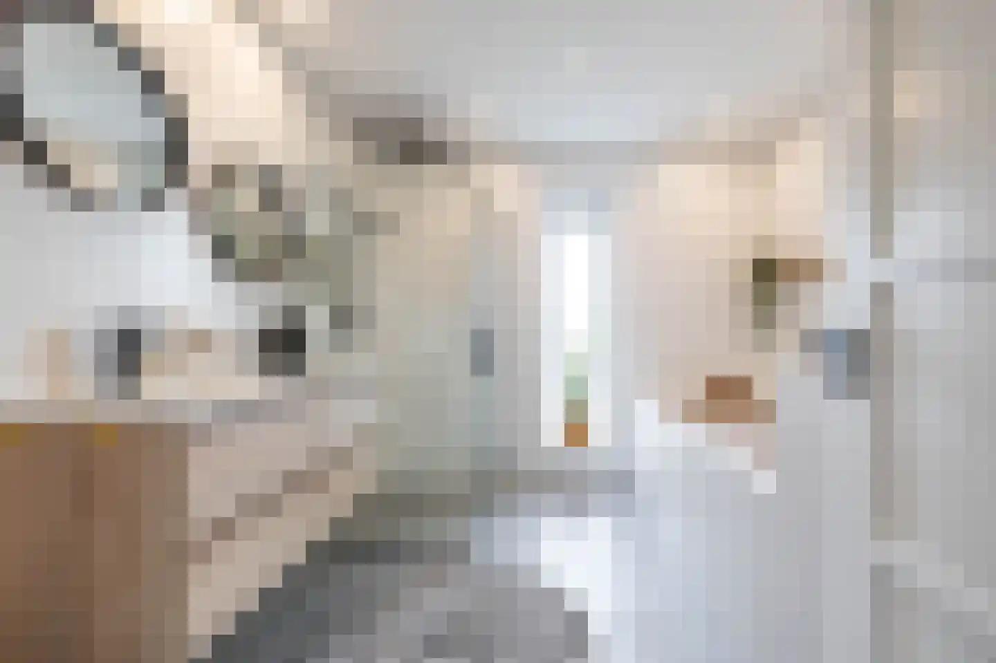 Hogeweg 12 Zuidlaren thumbnail 62