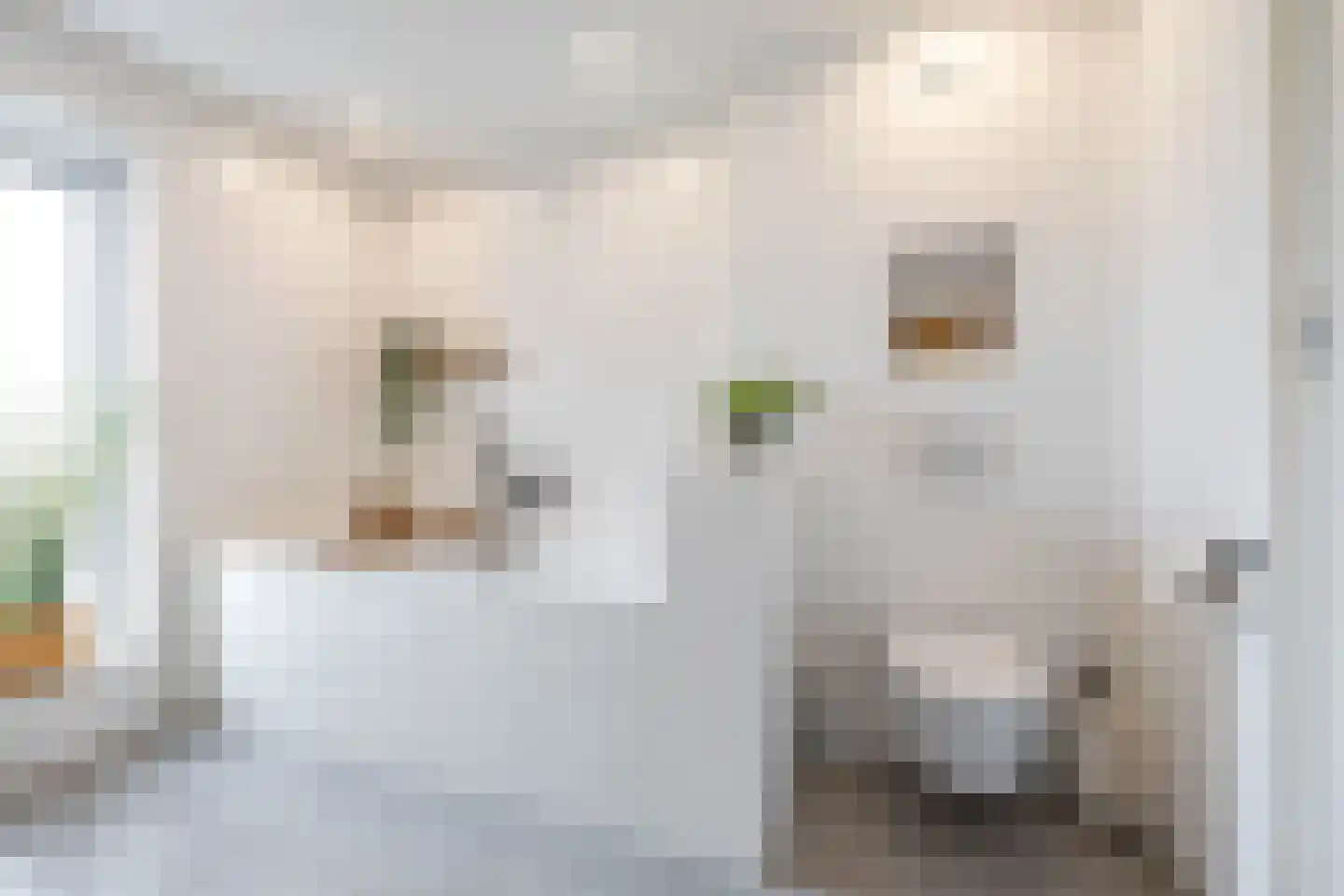 Hogeweg 12 Zuidlaren thumbnail 63