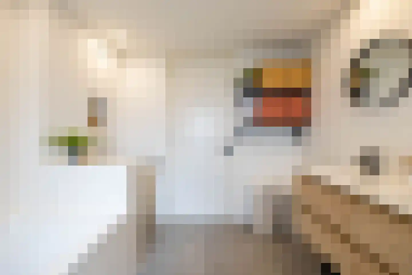Hogeweg 12 Zuidlaren thumbnail 68