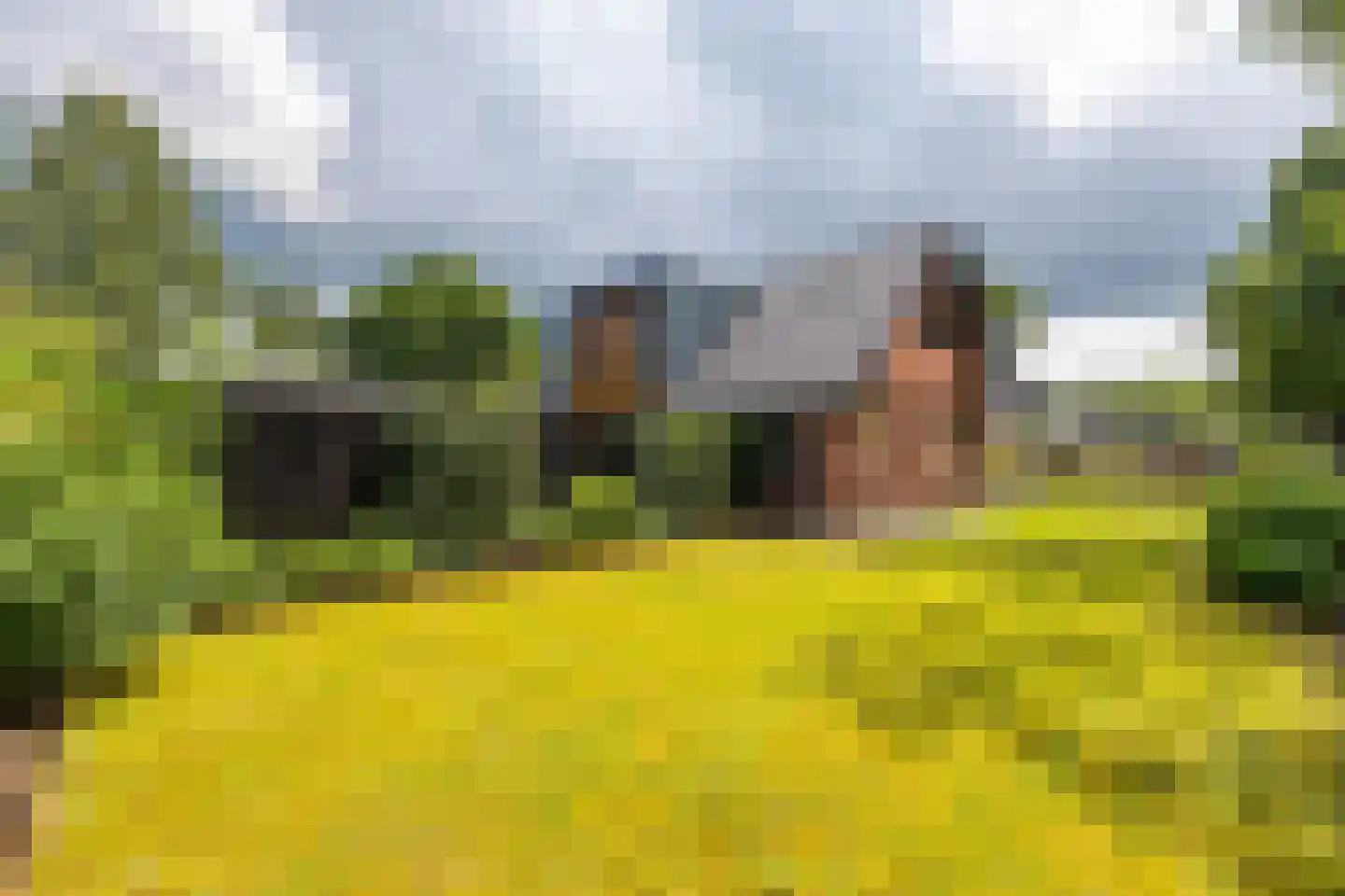 Hogeweg 12 Zuidlaren thumbnail 8