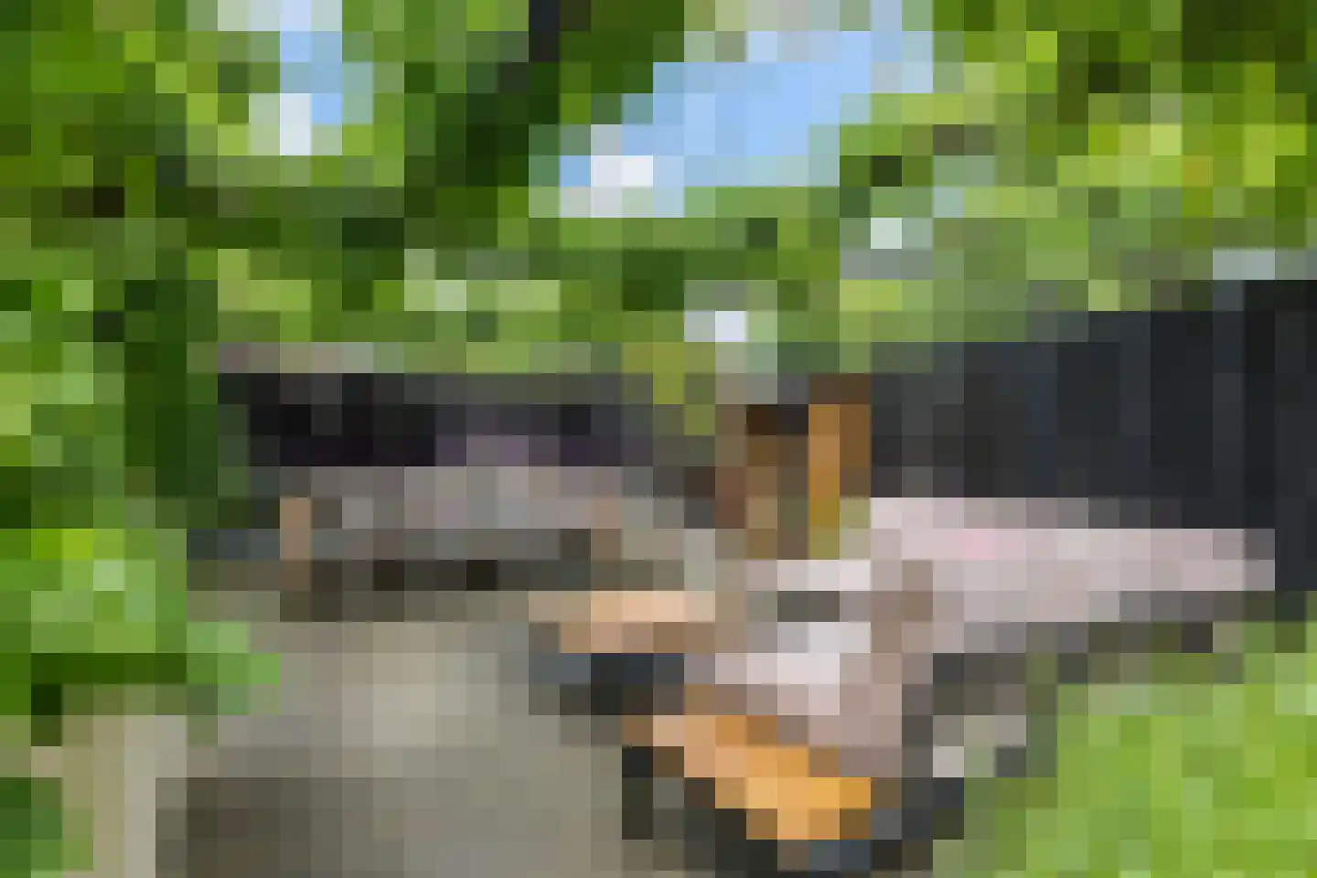 Hogeweg 12 Zuidlaren thumbnail 9