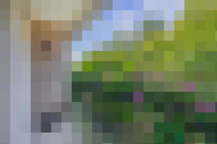 Hogeweg 122 Venlo thumbnail 14