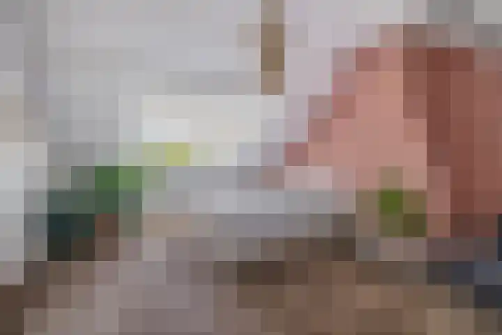 Hogeweg 122 Venlo thumbnail 18