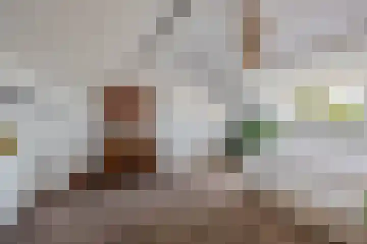 Hogeweg 122 Venlo thumbnail 20