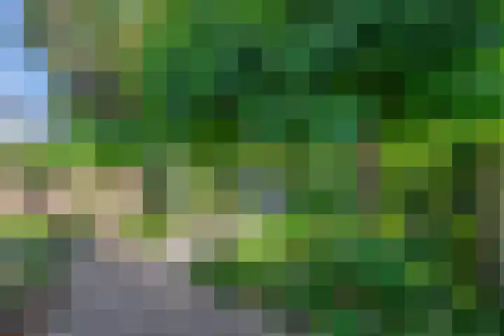 Hogeweg 122 Venlo thumbnail 21