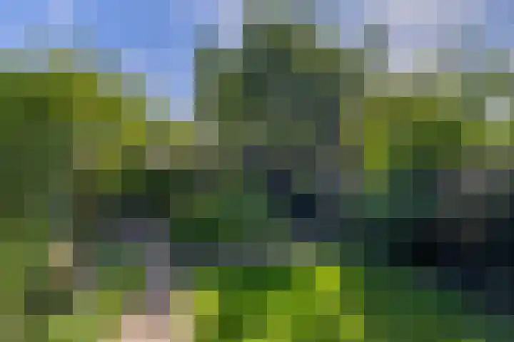 Hogeweg 122 Venlo thumbnail 22