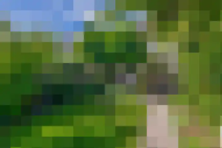Hogeweg 122 Venlo thumbnail 23