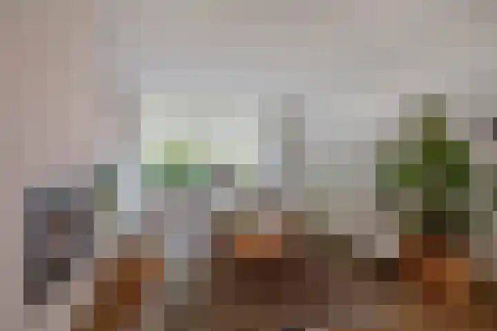 Hogeweg 122 Venlo thumbnail 4
