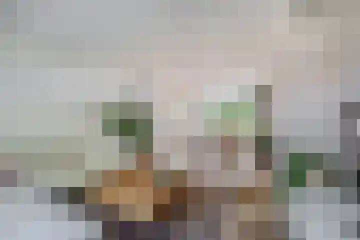 Hogeweg 122 Venlo thumbnail 5