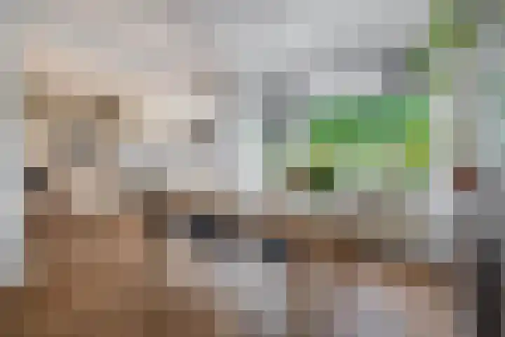 Hogeweg 122 Venlo thumbnail 6