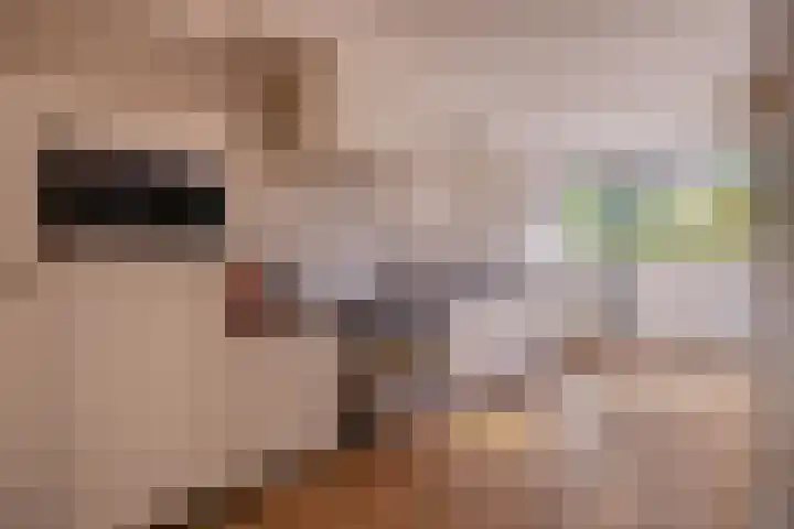 Hogeweg 122 Venlo thumbnail 7