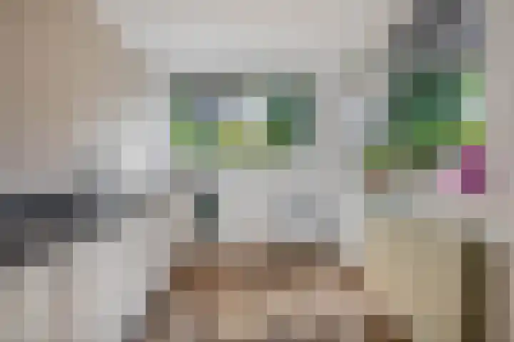 Hogeweg 122 Venlo thumbnail 8