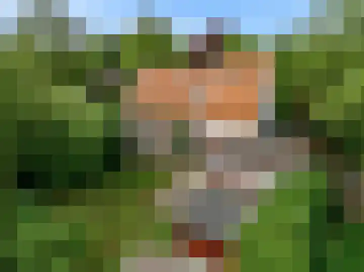 Hogeweg 127 Limmen thumbnail 42