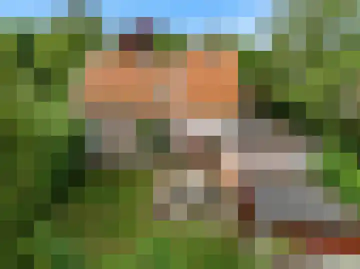 Hogeweg 127 Limmen thumbnail 43