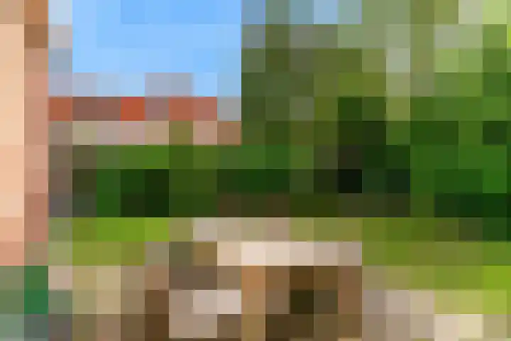 Hogeweg 127 Limmen thumbnail 49