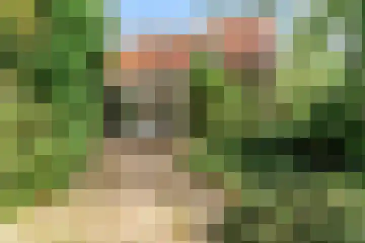 Hogeweg 127 Limmen thumbnail 51