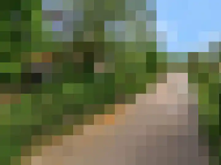 Hogeweg 127 Limmen thumbnail 57
