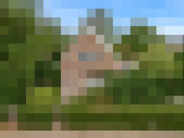 Hogeweg 127 Limmen thumbnail 7
