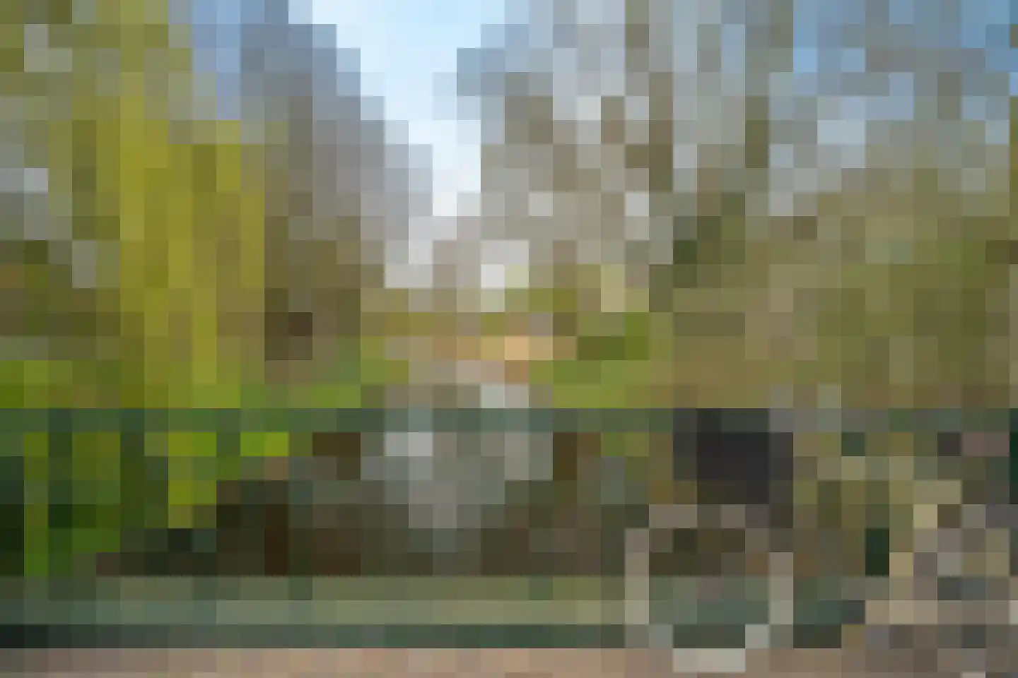 Hogeweg 13 F Amersfoort thumbnail 32
