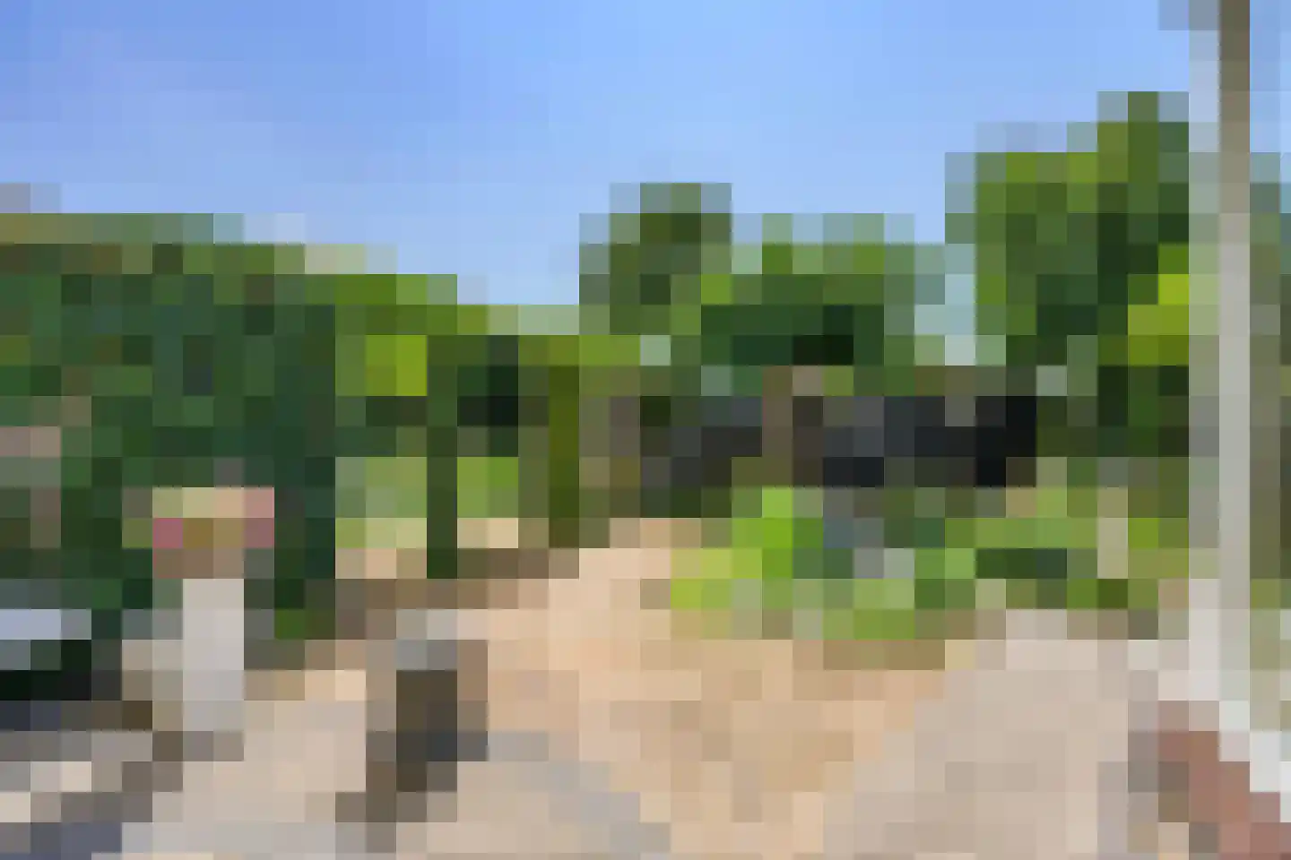 Hogeweg 13 Katwijk thumbnail 22