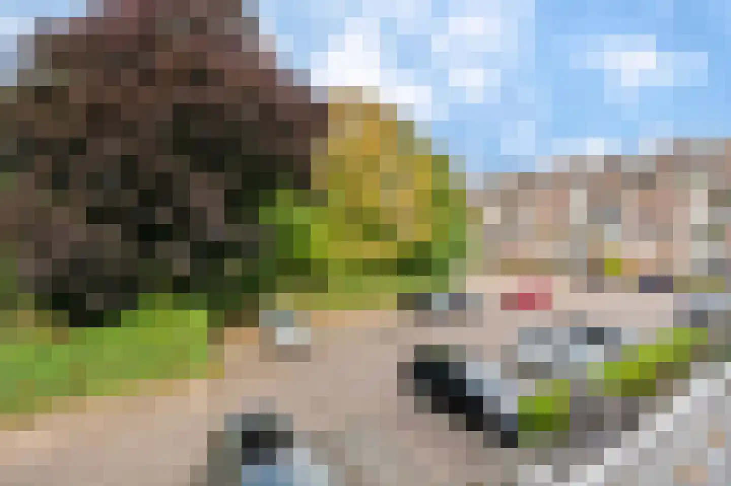 Hogeweg 13 Venlo thumbnail 10