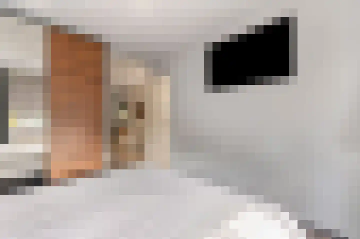 Hogeweg 13 Venlo thumbnail 13