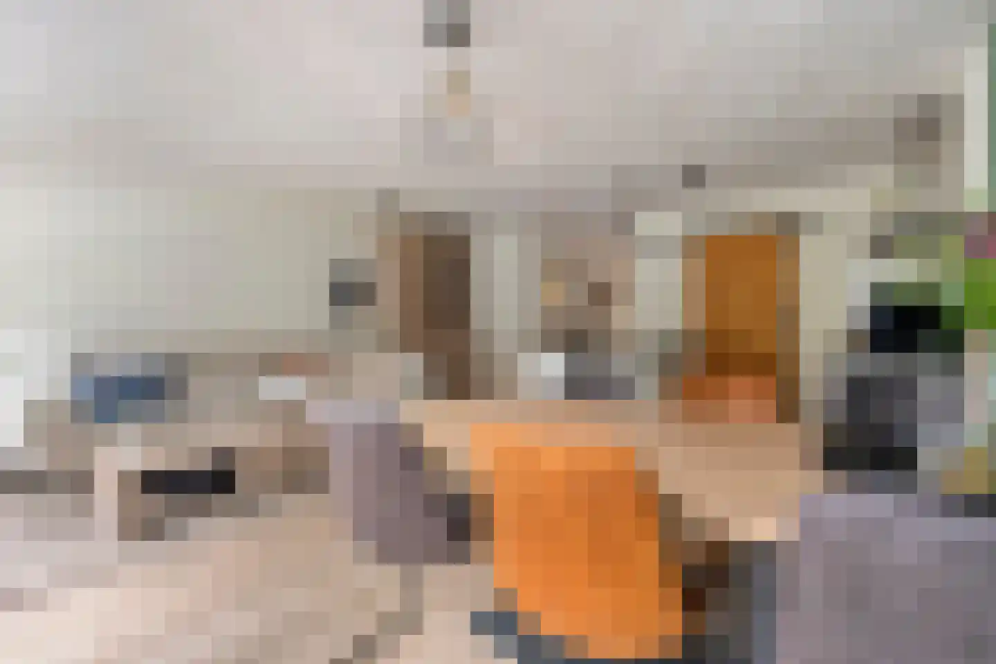 Hogeweg 13 Venlo thumbnail 5
