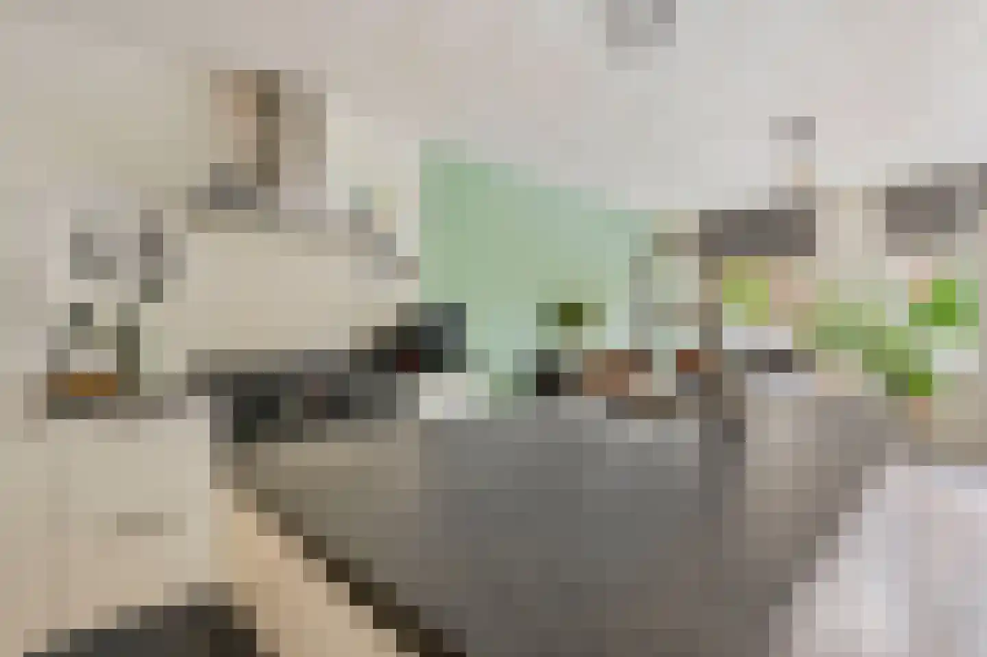 Hogeweg 13 Venlo thumbnail 6