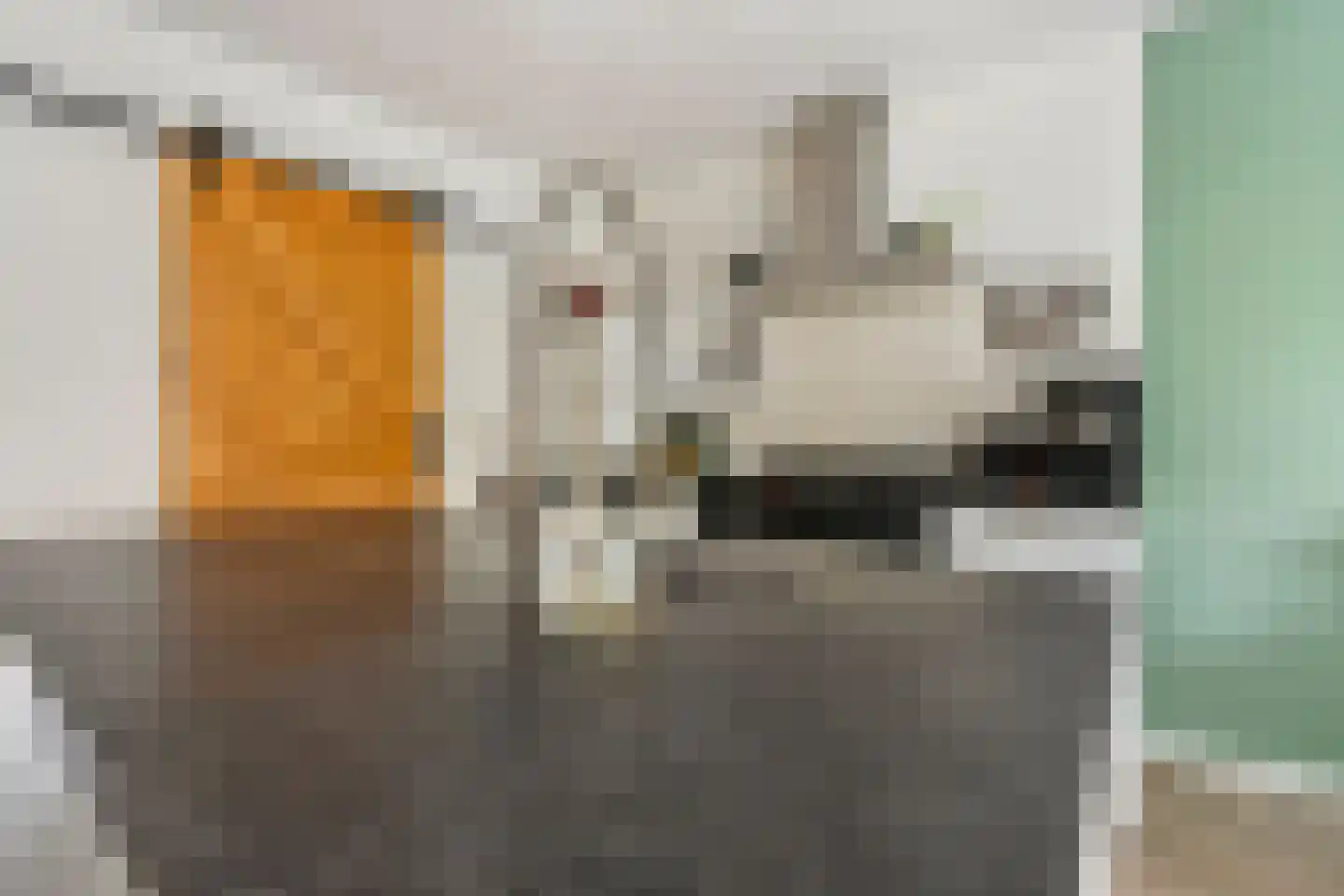 Hogeweg 13 Venlo thumbnail 7