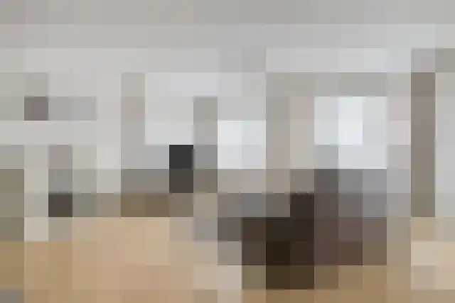 Hogeweg 137 Deurne thumbnail 10