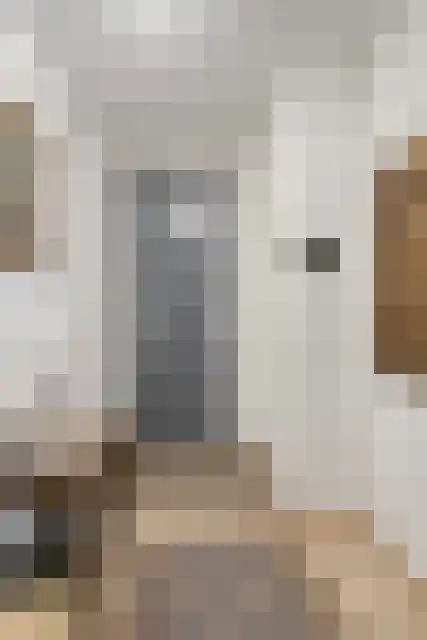 Hogeweg 137 Deurne thumbnail 7
