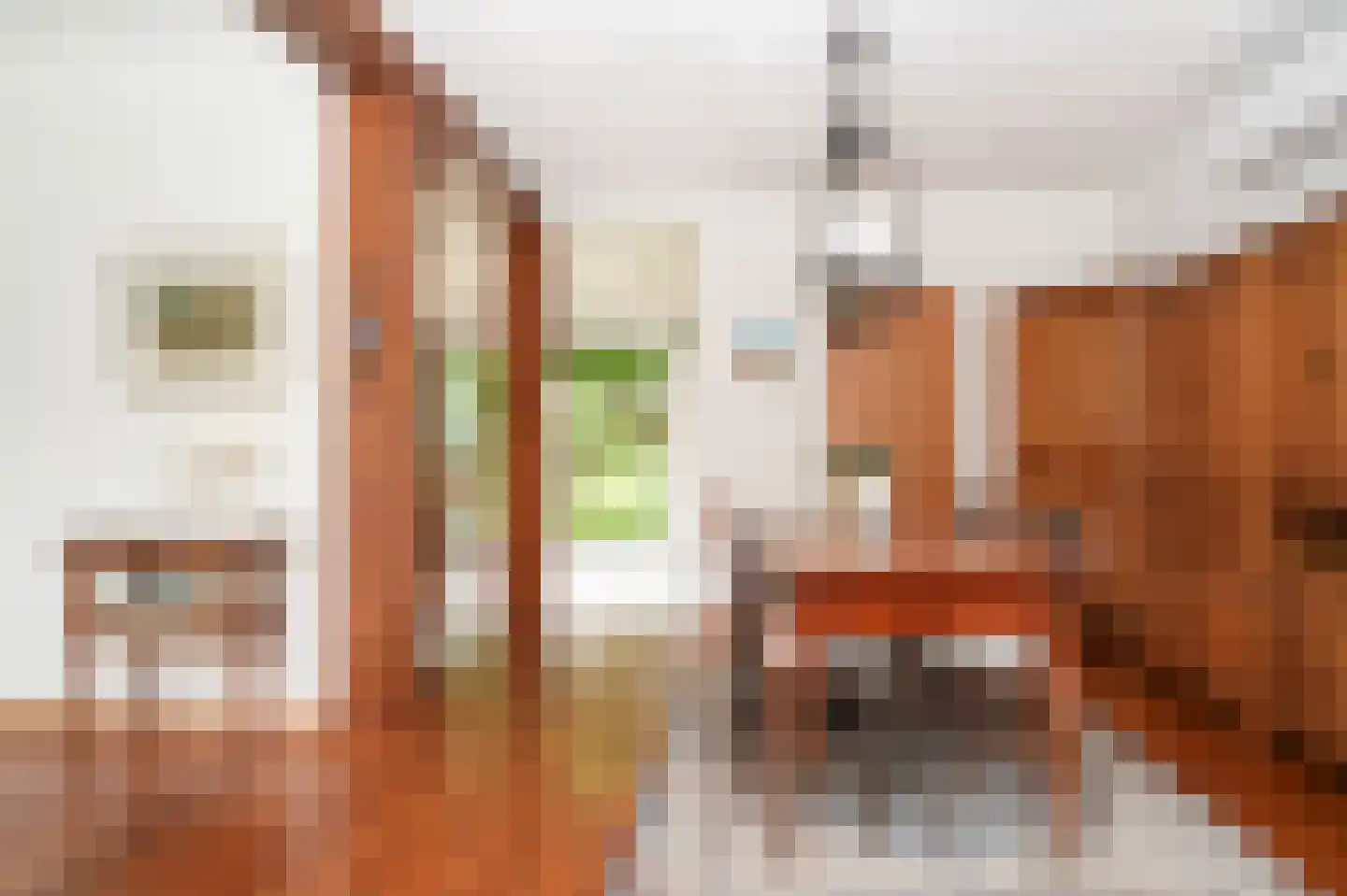 Hogeweg 14 a Rossum thumbnail 10