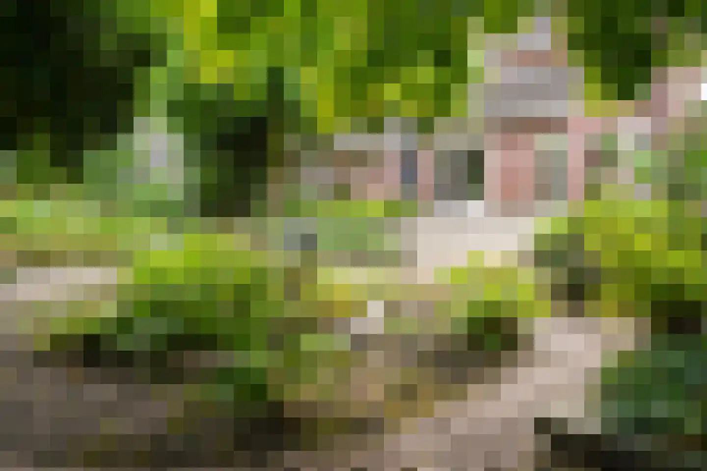 Hogeweg 14 a Rossum thumbnail 25