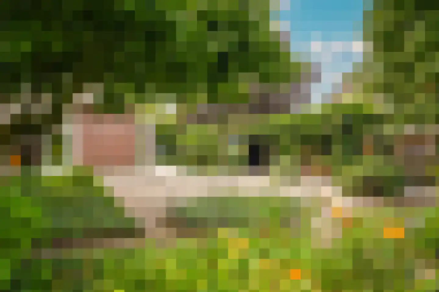Hogeweg 14 a Rossum thumbnail 26