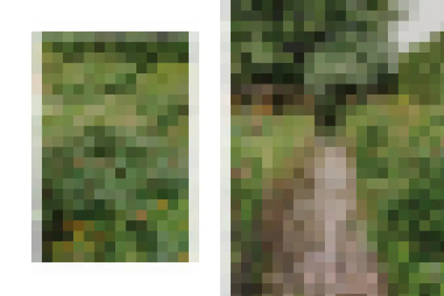 Hogeweg 14 a Rossum thumbnail 28