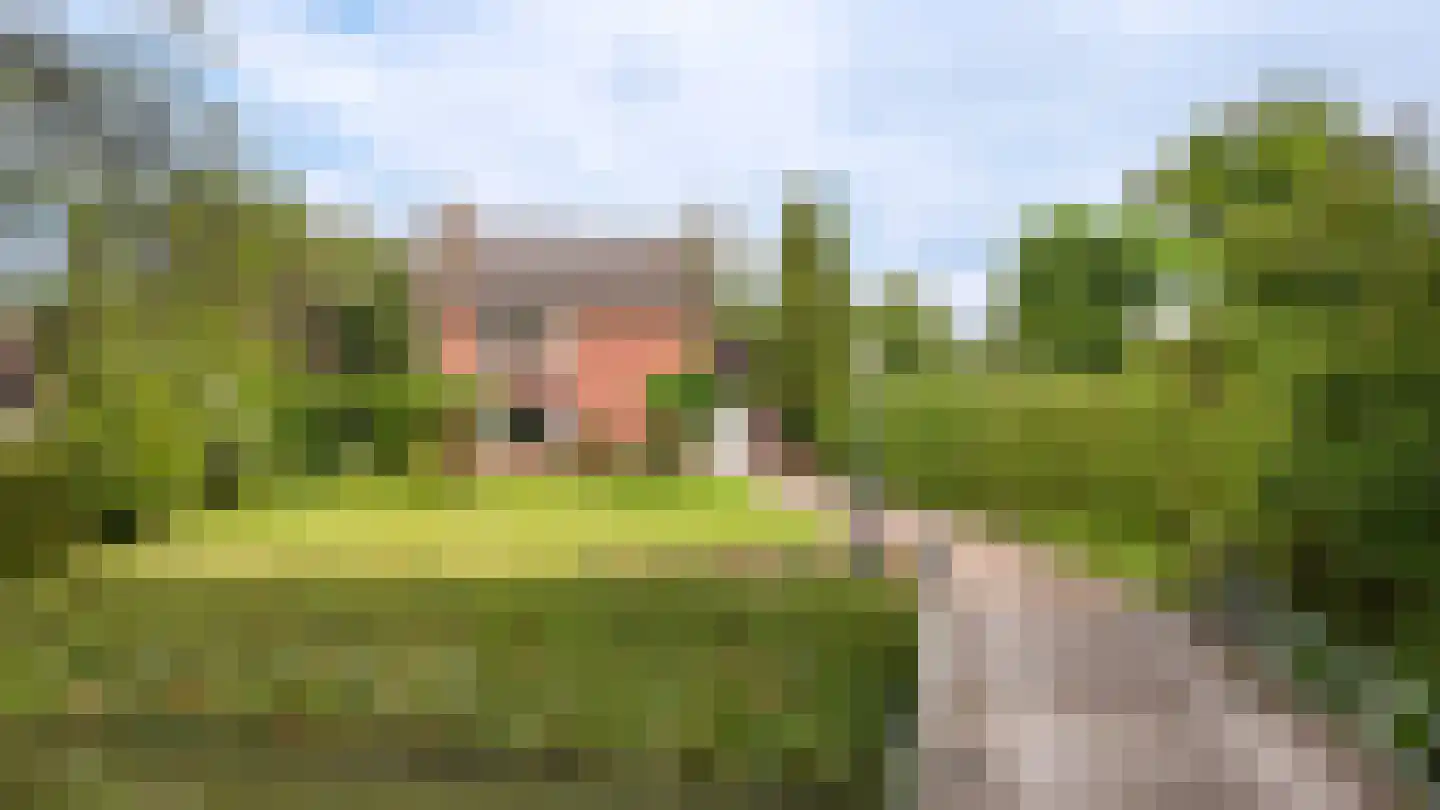Hogeweg 14 a Rossum thumbnail 33