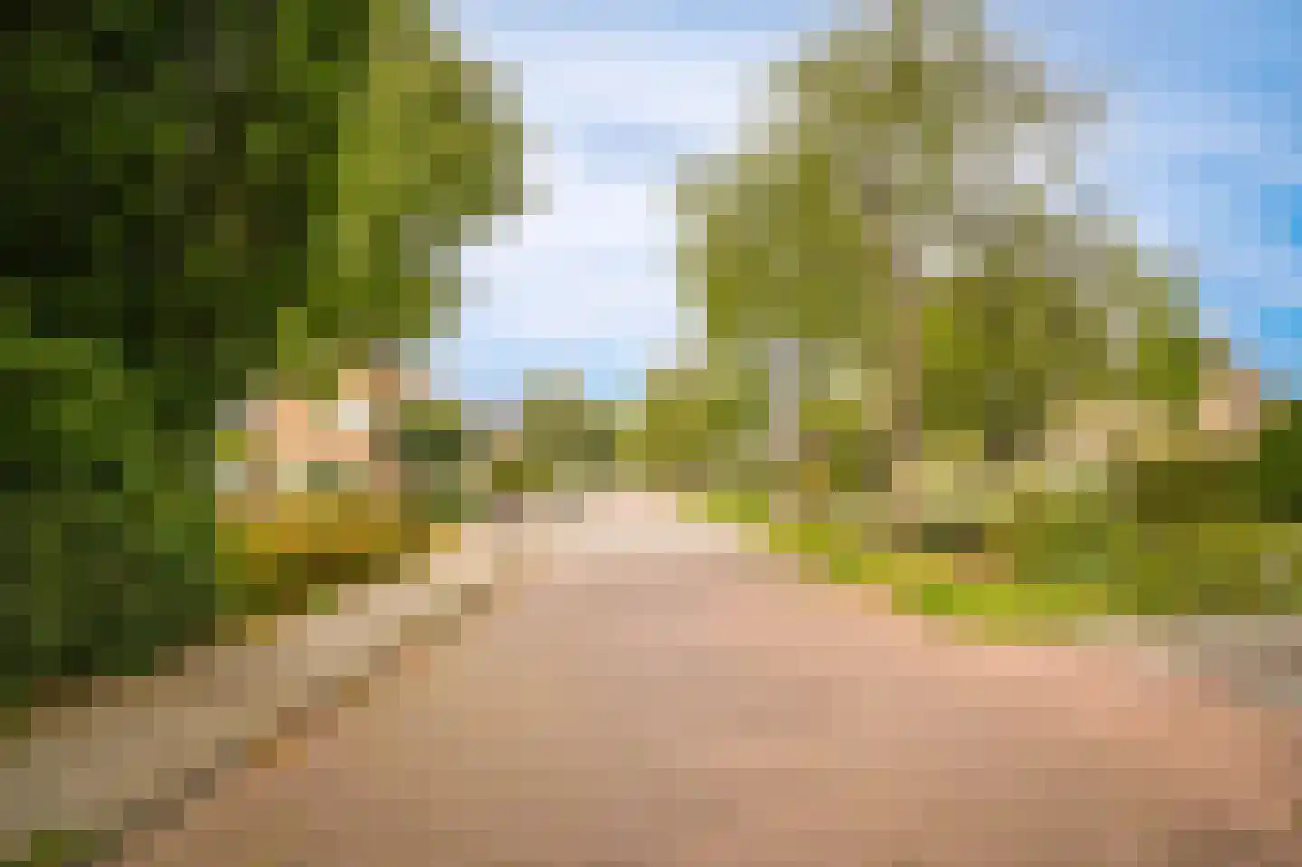 Hogeweg 14 a Rossum thumbnail 35