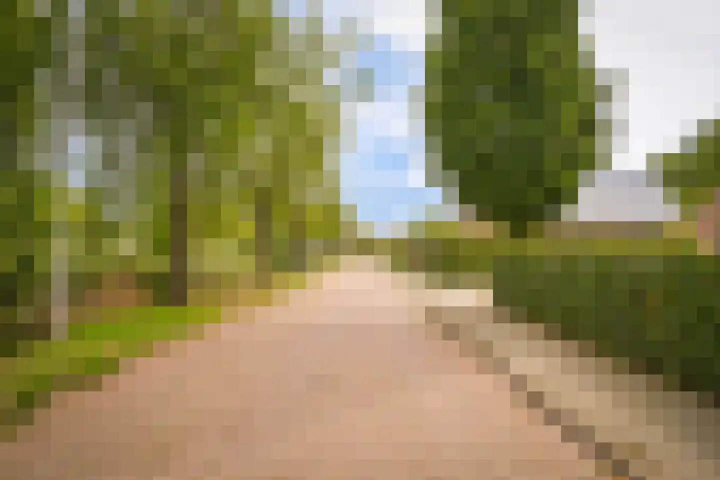 Hogeweg 14 a Rossum thumbnail 36