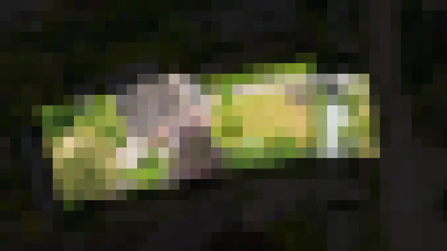 Hogeweg 14 a Rossum thumbnail 37