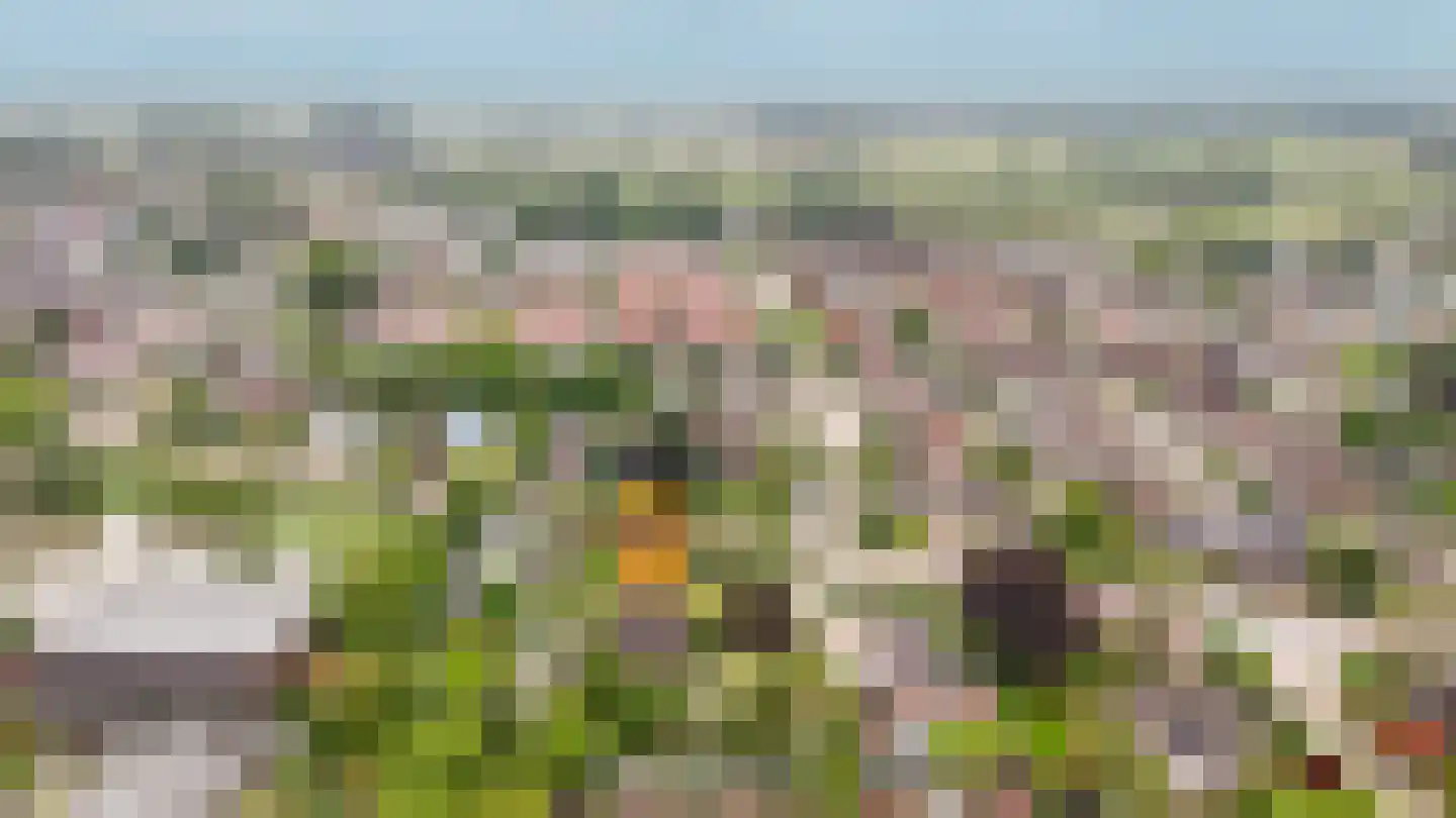 Hogeweg 14 a Rossum thumbnail 38