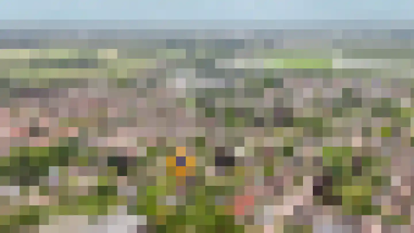 Hogeweg 14 a Rossum thumbnail 39