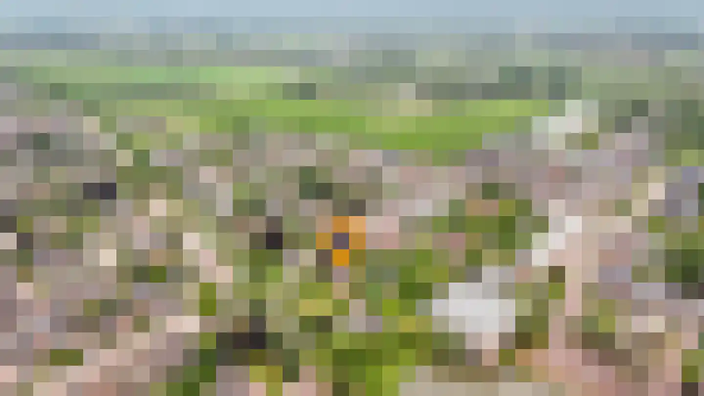 Hogeweg 14 a Rossum thumbnail 40