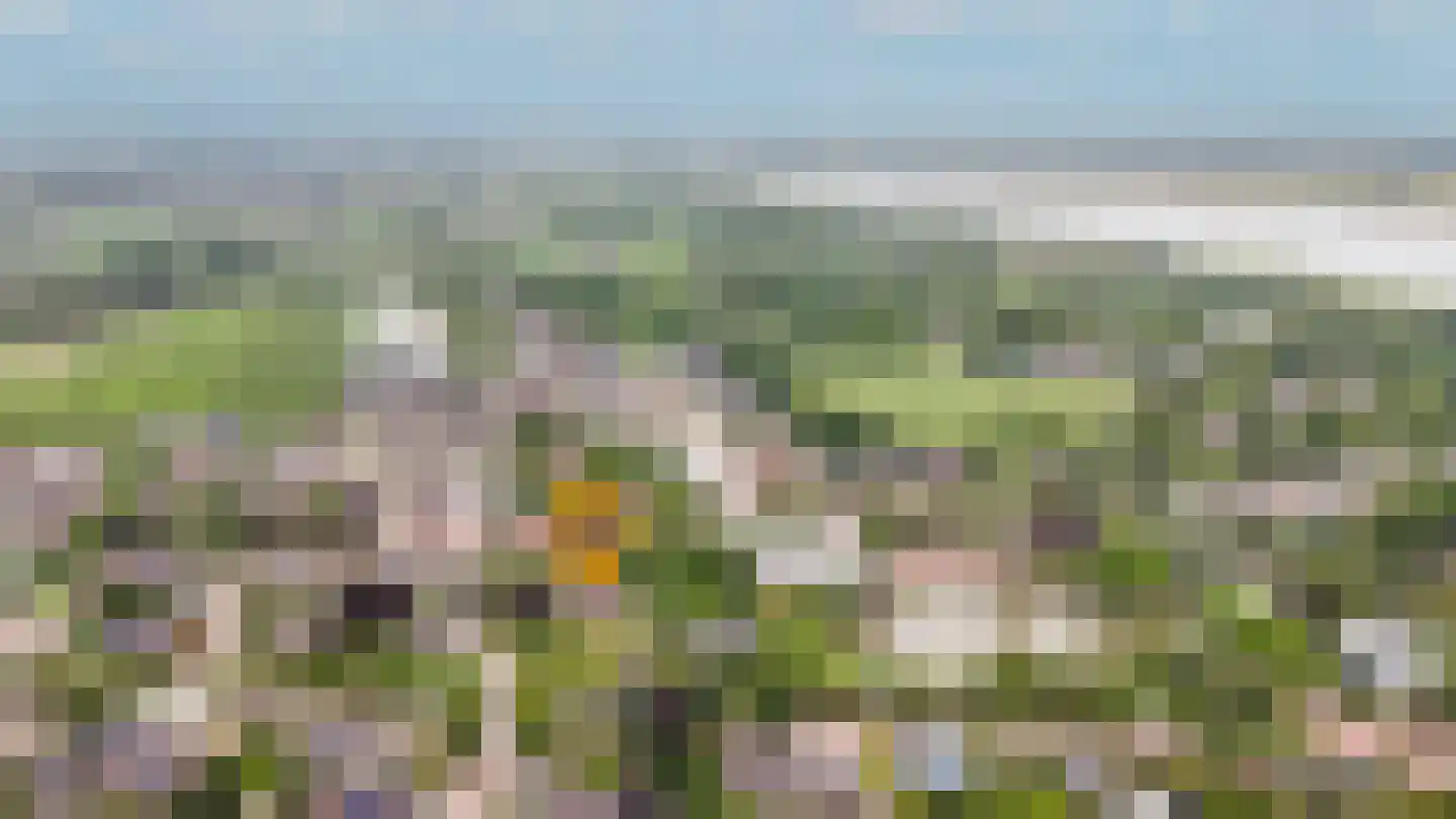 Hogeweg 14 a Rossum thumbnail 41