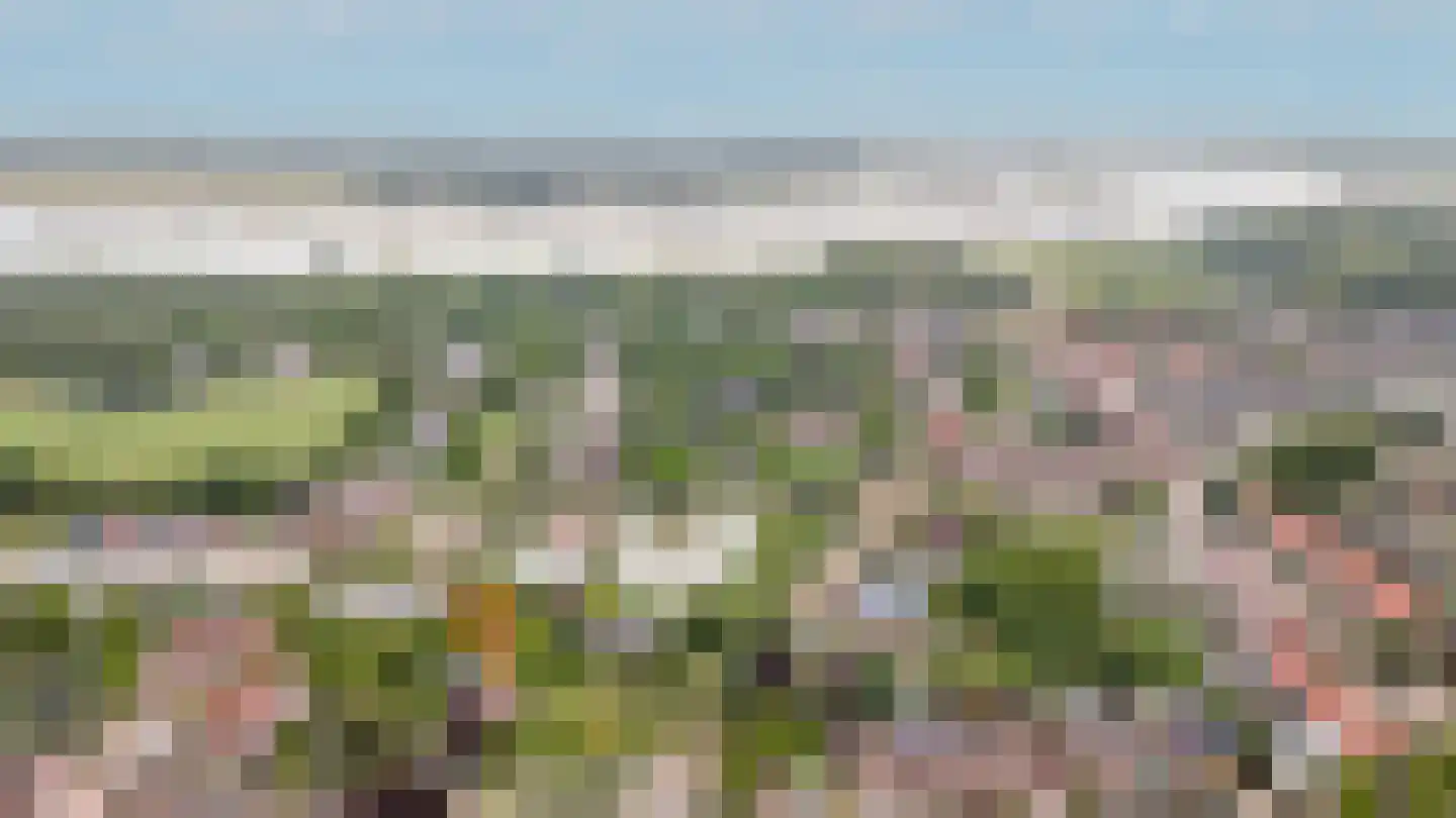 Hogeweg 14 a Rossum thumbnail 42