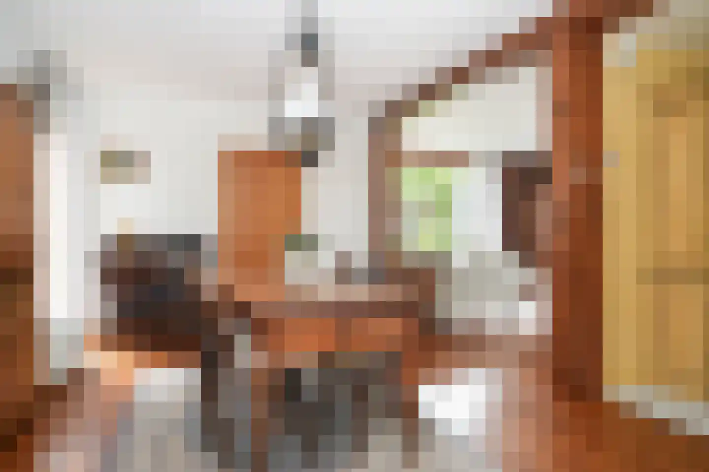 Hogeweg 14 a Rossum thumbnail 6