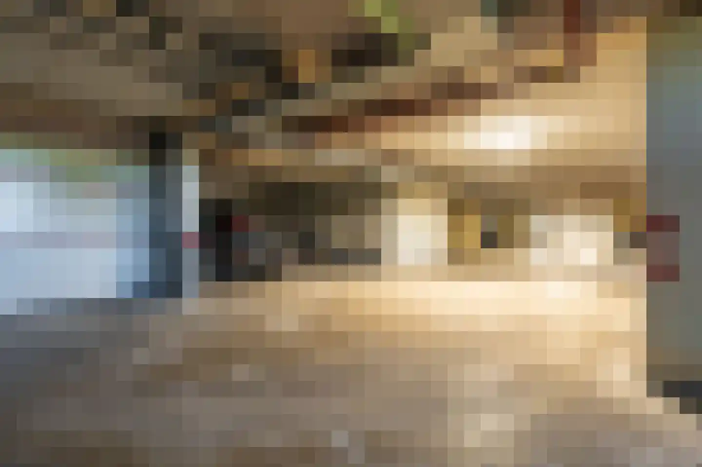Hogeweg 147 Scheemda thumbnail 35