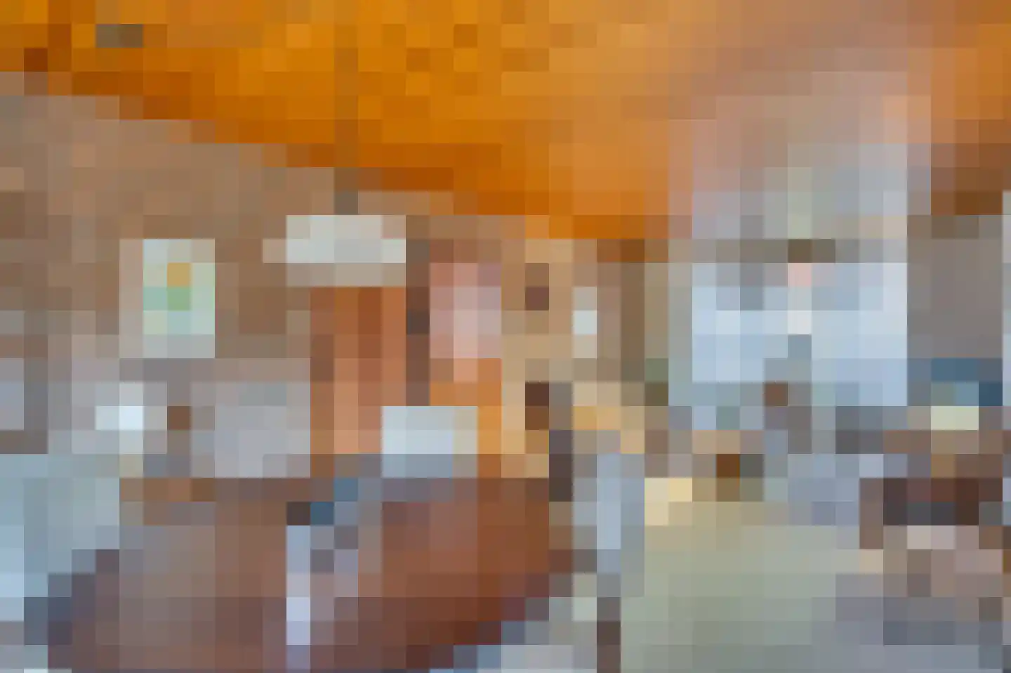 Hogeweg 149 Venlo thumbnail 12